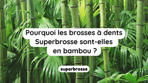 Pourquoi les brosses à dents Superbrosse sont-elles en bambou ?