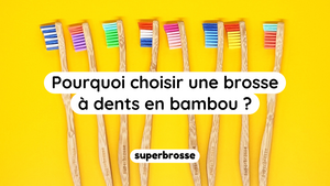 Pourquoi choisir une brosse à dents en bambou ?
